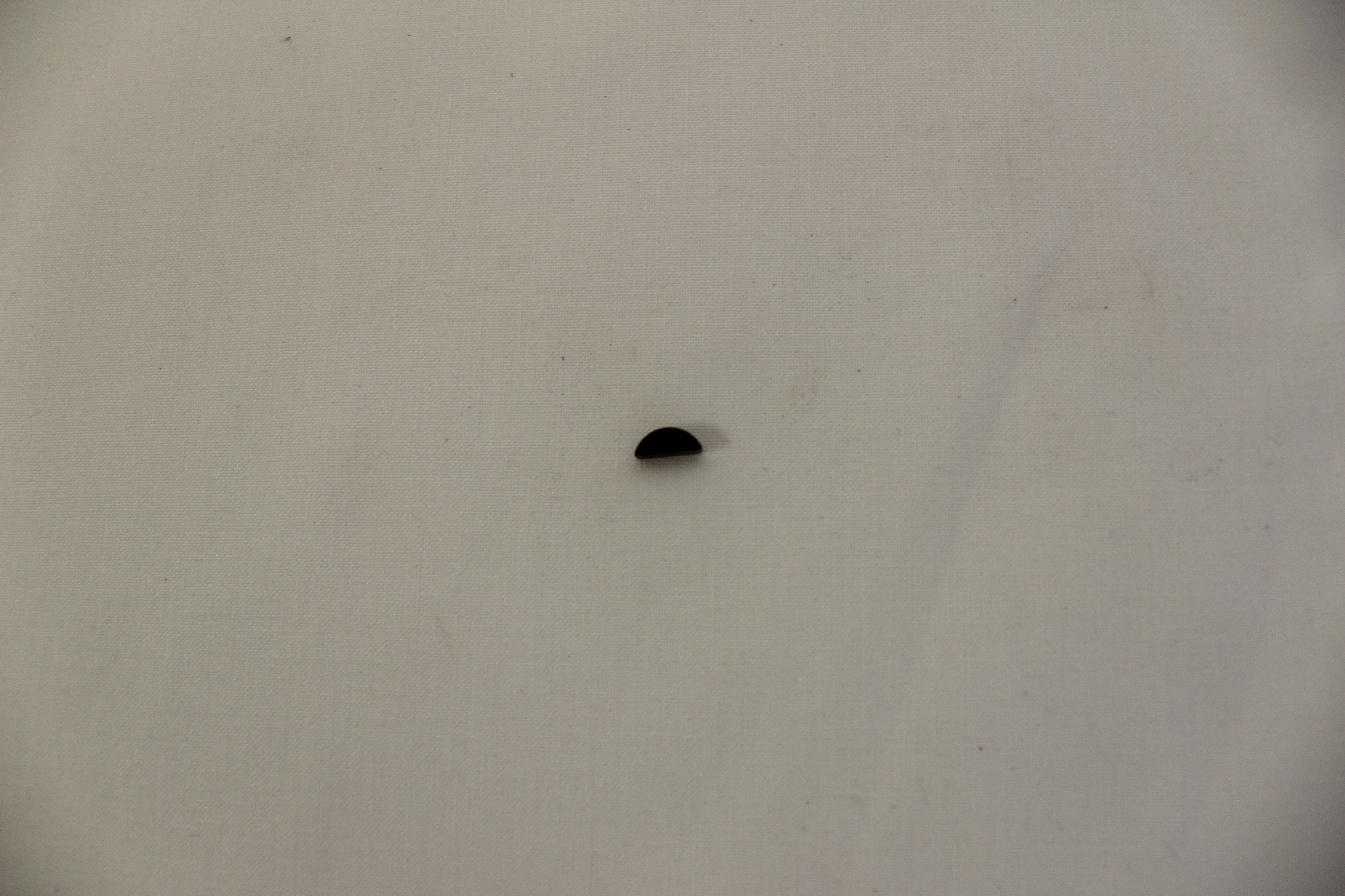 Scheibenfeder 3 x 3,7